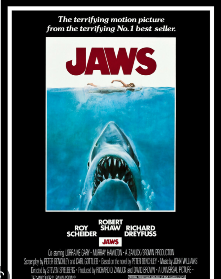 Jaws+is+the+Best+Summer+Film
