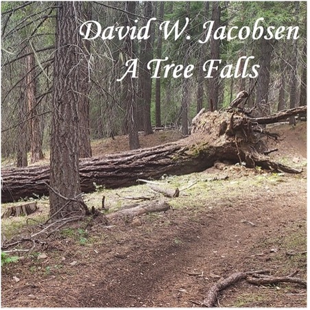 Requested Review: David W. Jacobsen addresses indifference with wry humor in his new album, ‘A Tree Falls’